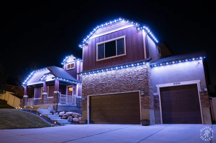 Try Jellyfish Landscape Lighting in Chester County